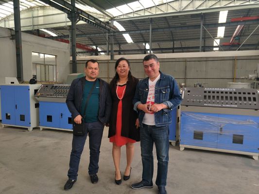 Un buon prezzo. Linea di produzione del tubo del PE/tubo ondulati doppi che fa macchina in linea