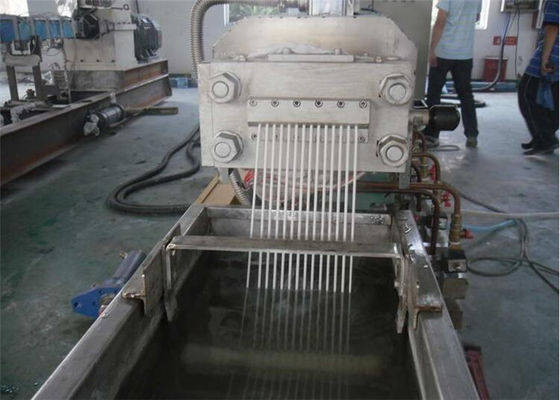 Un buon prezzo. Macchina di plastica di pelletizzazione del singolo della vite del doppio PE della fase con il sistema di controllo dello SpA in linea